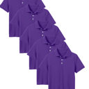 Grape (5-Pack) 10 5-Pack School Uniform Tagless Polo Tshirt for Little Boys & Big Boys